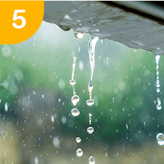 人気のサービス5