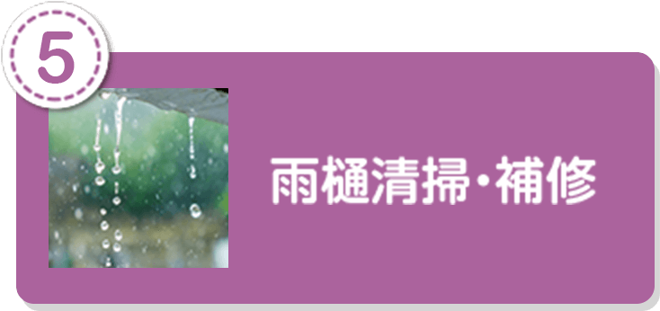 雨樋清掃・補修